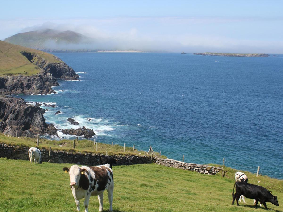Cois Chnoic Holiday Home Dingle By Trident Holiday Homes Buitenkant foto